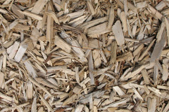 biomass boilers Skinflats